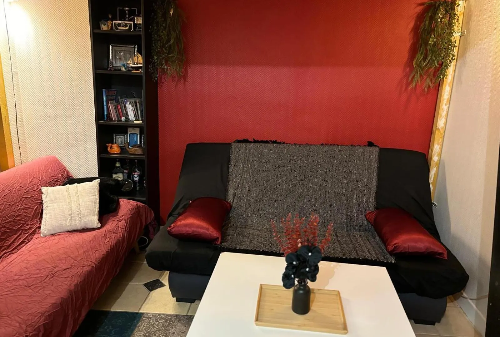 Studio Sympa Meuble Et Equipe Paris Nation. France